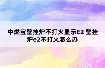 中燃宝壁挂炉不打火显示E2 壁挂炉e2不打火怎么办